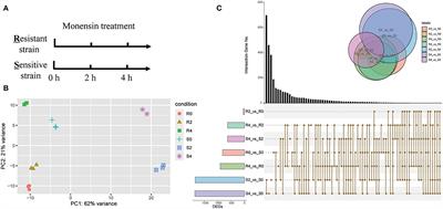 Early Transcriptional Response to Monensin in Sensitive and Resistant Strains of Eimeria tenella